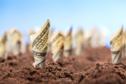 How to Get More for Your Money